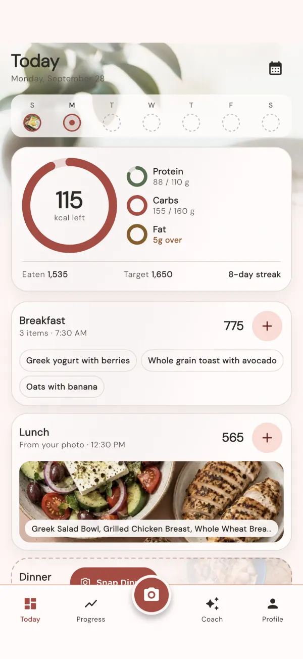The VitaCal Today screen: calories left, protein, carbs and fat, and the day's meals